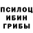Галлюциногенные грибы GOLDEN TEACHER Rah D