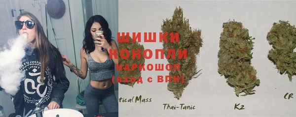 дурь Корсаков