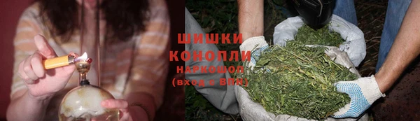 стаф Костерёво