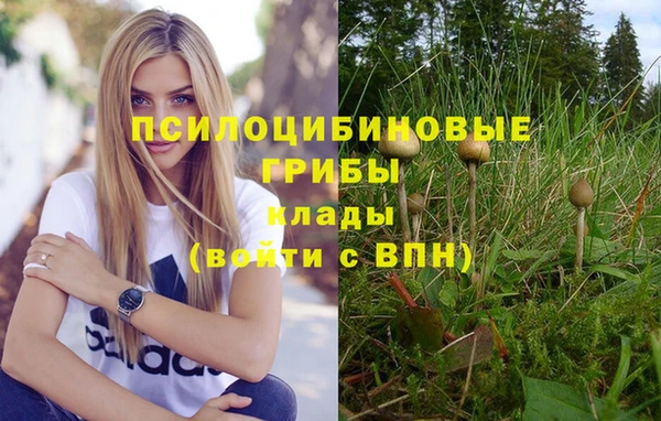 стаф Костерёво