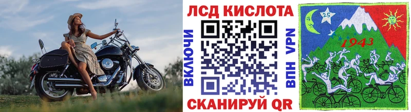Купить закладки  Губкинский  Марки N-bome 1,5мг 